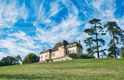 Castle for sale Monségur, New Aquitaine, Image 22/22