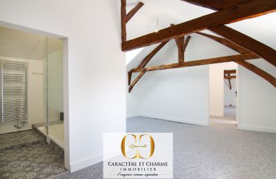 Historic property for sale Sarlat-la-Canéda, New Aquitaine, Image 14/20