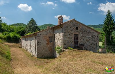 Farmhouse for sale Perugia, Umbria, Image 10/14