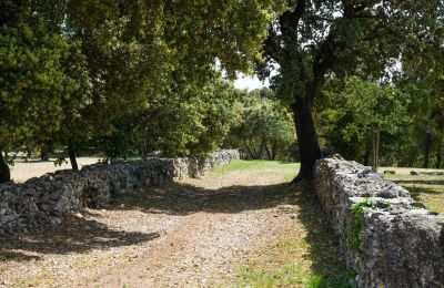 Historic property for sale Occitania, Image 30/32