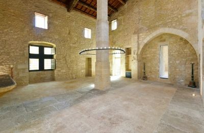 Castle for sale Uzès, Occitania, Large Hall