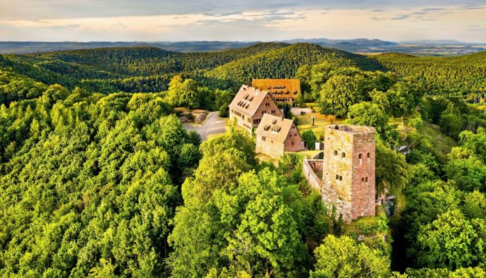 Medieval Castle for sale 67330 Dossenheim-sur-Zinsel, Grand-Est,  France