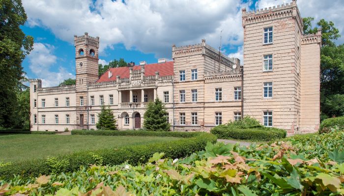 Castle for sale Gościeszyn, Greater Poland Voivodeship,  Poland