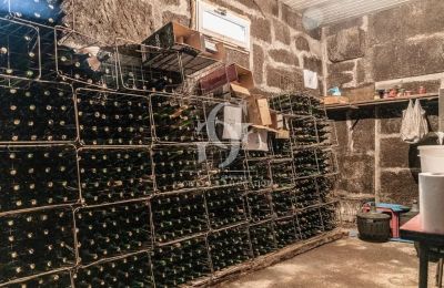 Manor House for sale Ourense, Galicia, Wine cellar