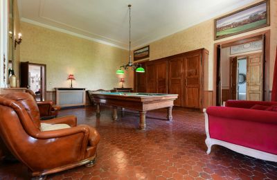 Castle for sale Barjac, Occitania, Billiard room