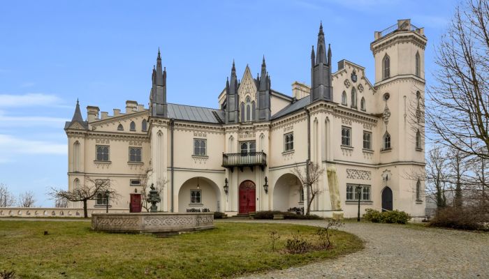 Castle for sale Patrykozy, Masovian Voivodeship,  Poland