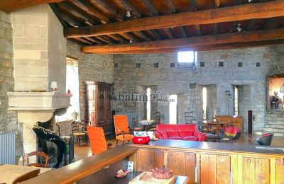 Historic Villa for sale Sauveterre-de-Béarn, New Aquitaine, Image 5/20