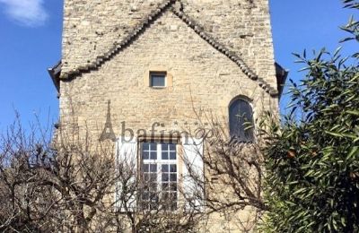 Historic Villa for sale Sauveterre-de-Béarn, New Aquitaine, Image 3/20