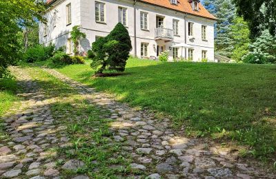 Manor House for sale Dawidy, Dwór w Dawidach, Warmian-Masurian Voivodeship, Back view