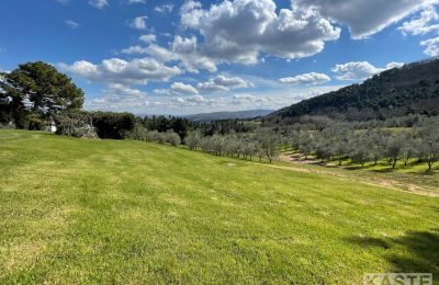 Country House for sale Rivalto, Tuscany, View