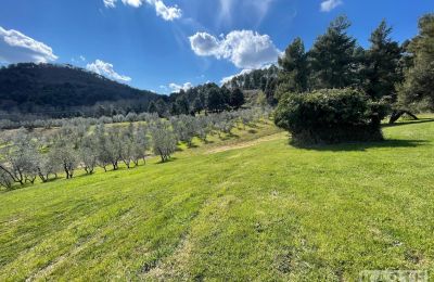 Country House for sale Rivalto, Tuscany, Property