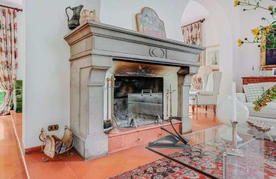 Historic Villa for sale Castelletto Sopra Ticino, Piemont, Fireplace