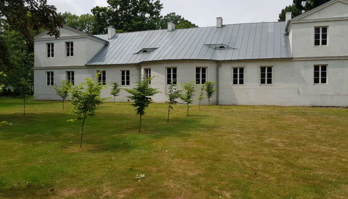 Manor House Błaszki 3