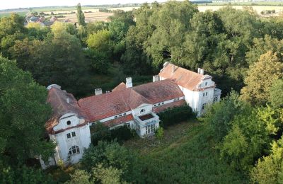 Manor House for sale Oporowo, Dwór w Oporowie 1, Greater Poland Voivodeship, Drone view