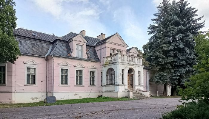 Manor House Manieczki 2
