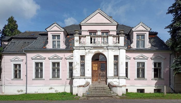 Manor House for sale Manieczki, Greater Poland Voivodeship,  Poland