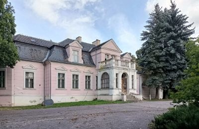 Manor House for sale Manieczki, Parkowa 4, Greater Poland Voivodeship, Exterior View
