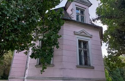Manor House for sale Manieczki, Parkowa 4, Greater Poland Voivodeship, Side view