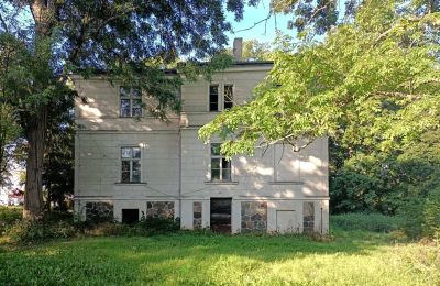 Manor House for sale Goniembice, Dwór w Goniembicach, Greater Poland Voivodeship, Side view