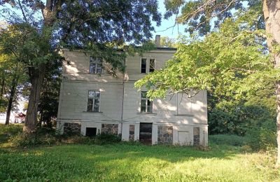 Manor House for sale Goniembice, Dwór w Goniembicach, Greater Poland Voivodeship, Image 3/8