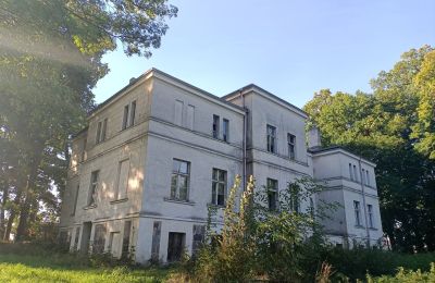 Manor House for sale Goniembice, Dwór w Goniembicach, Greater Poland Voivodeship, Image 4/8