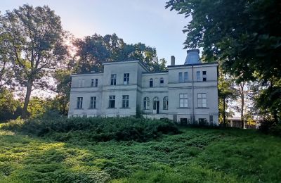 Manor House for sale Goniembice, Dwór w Goniembicach, Greater Poland Voivodeship, Back view