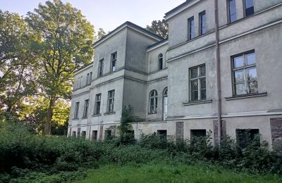 Manor House for sale Goniembice, Dwór w Goniembicach, Greater Poland Voivodeship, Side view