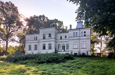 Manor House for sale Goniembice, Dwór w Goniembicach, Greater Poland Voivodeship, Dwór w Goniembicach 2025