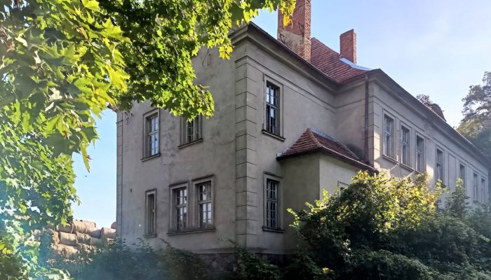 Manor House Osieczna 4