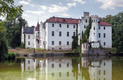 Castle for sale Dobrocin, Pałac w Dobrocinie, Lower Silesian Voivodeship, Side view