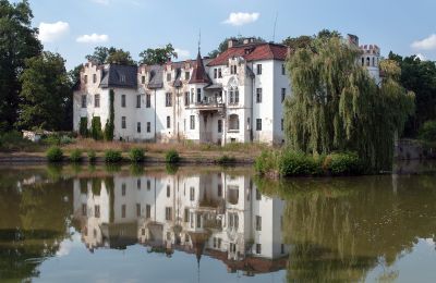 Castle for sale Dobrocin, Pałac w Dobrocinie, Lower Silesian Voivodeship, Pałac w Dobrocinie