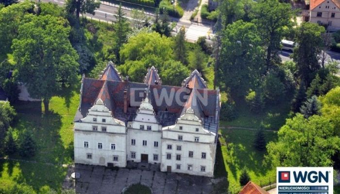 Castle Wilków Wielki 2