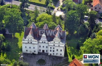 Castle for sale Wilków Wielki, Zamek w Wilkowie Wielkim, Lower Silesian Voivodeship,, Drone view