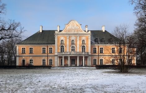 Czempiń, Pałac Czempiń - Palace in Czempiń