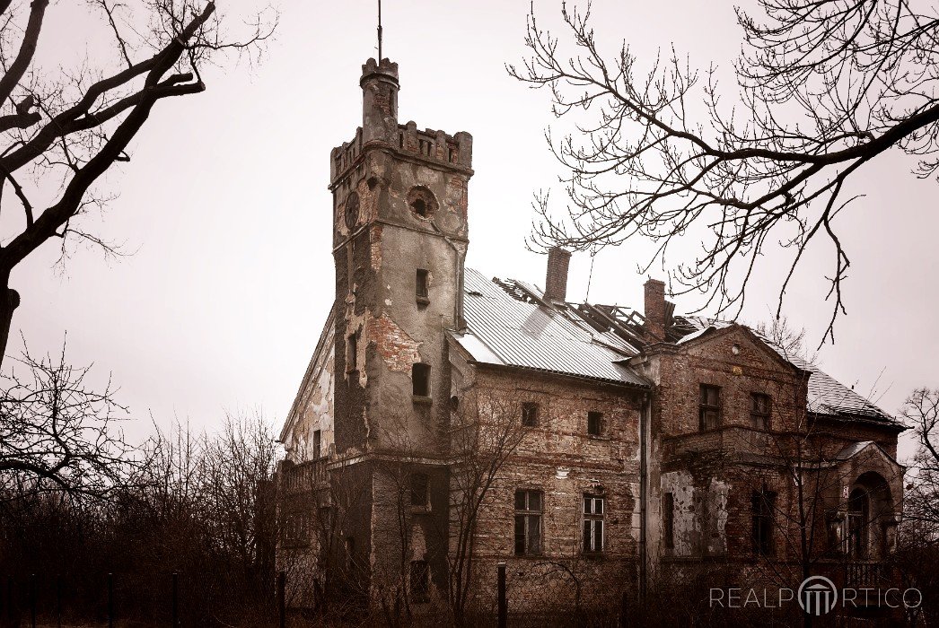 Manor Ruin in Nowy Śleszów, Nowy Śleszów