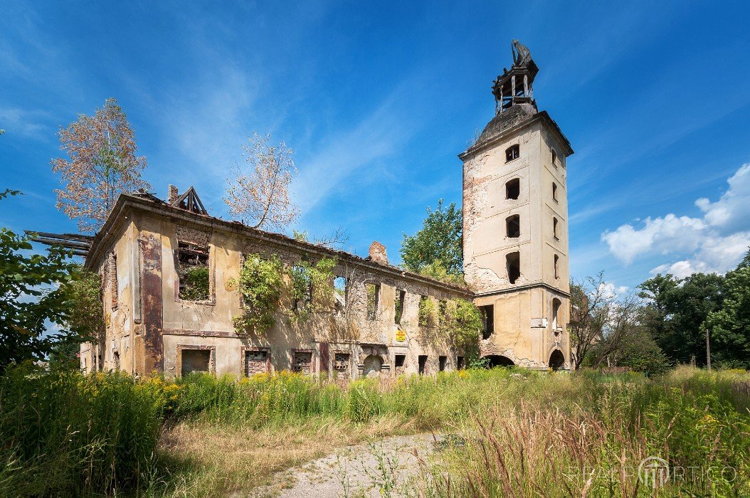 Ruined Castle in Żarska Wieś, Żarska Wieś