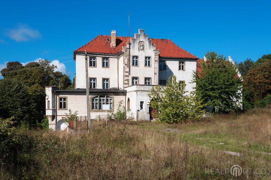 Manor in Dłużek, Dłużek