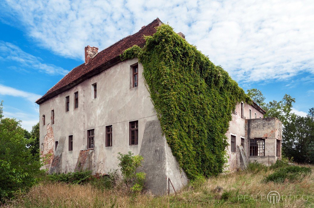 Palace in Miodnica, Miodnica