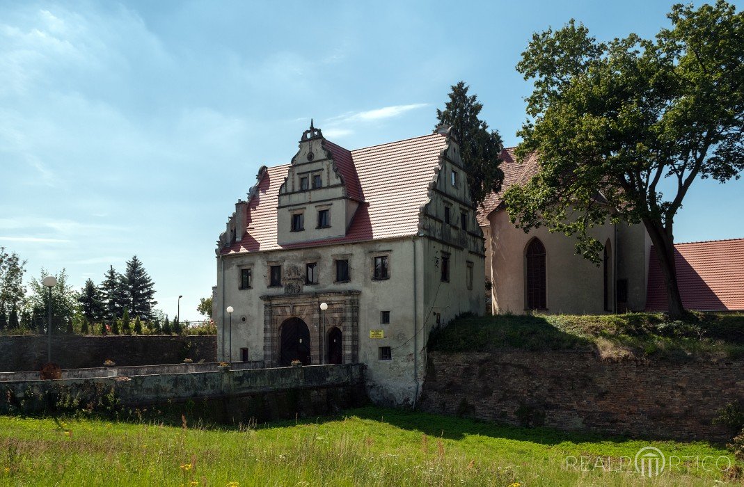 Castle in Siedlisko, Siedlisko