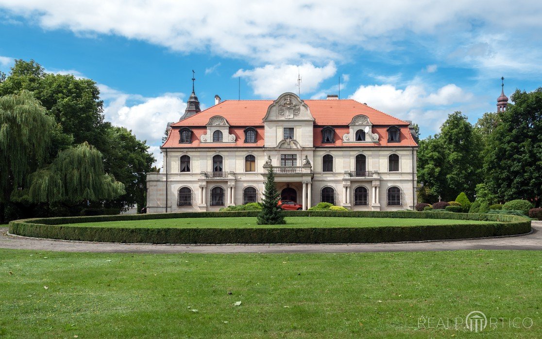 Castle in Smolice, Smolice