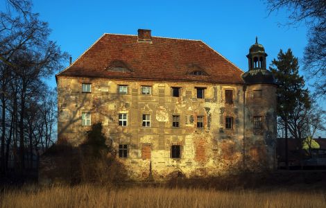  - Castle in Broniszów