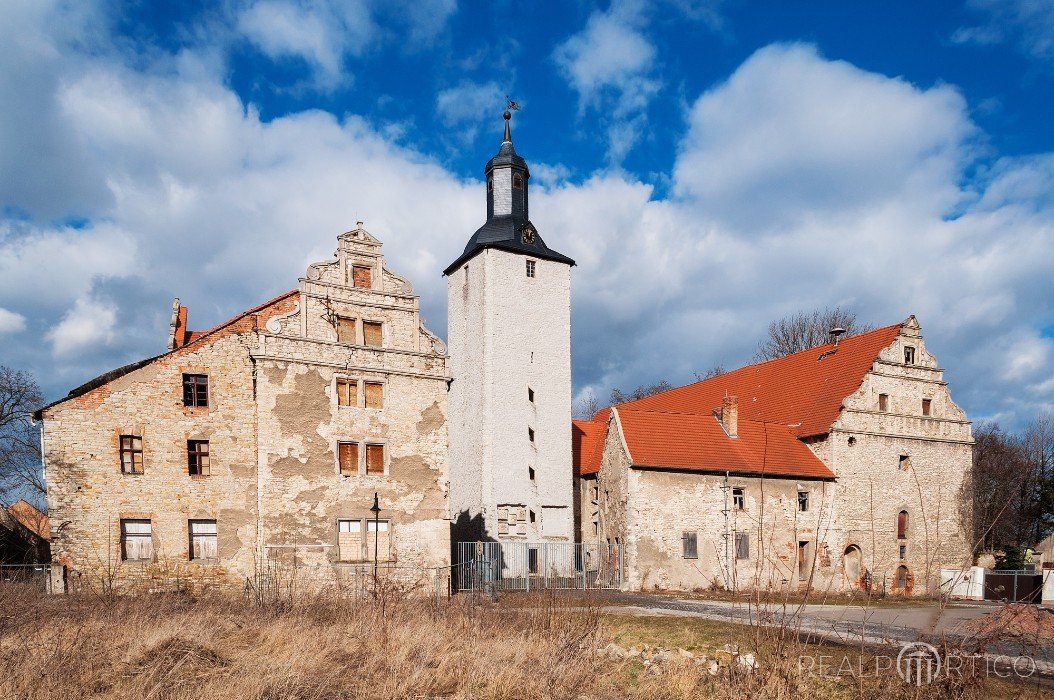 Castle Schneidlingen, Schneidlingen