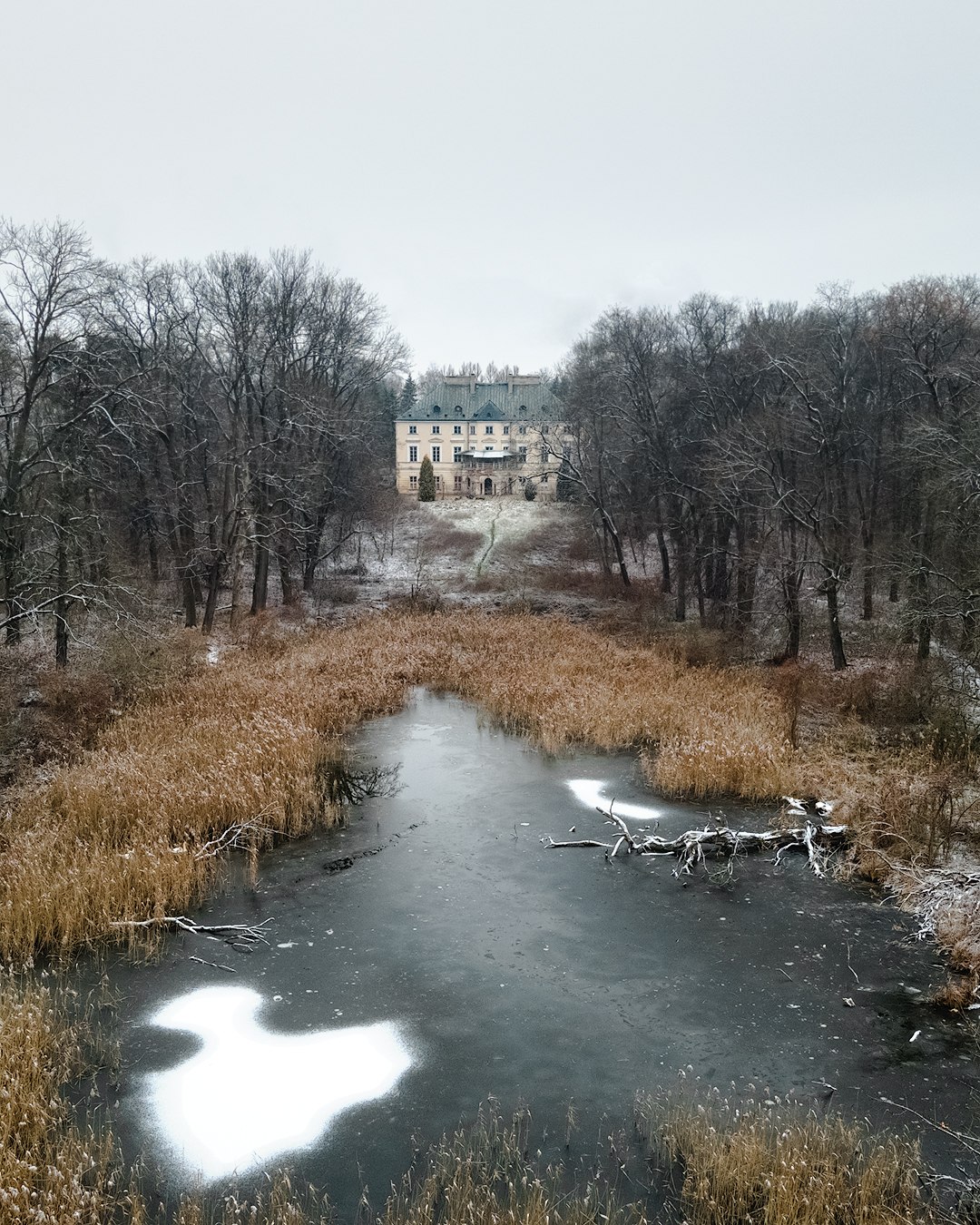 Palace in Mazovia:Swidno